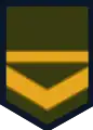 Insignia de voluntario de segunda del Ejército Argentino