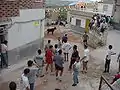 Valentín en Fiestas, Vacas por las calles