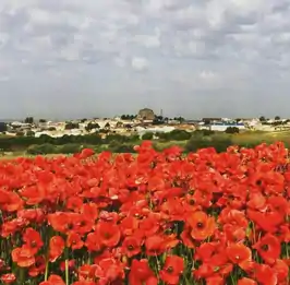 Vista de la localidad