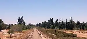 Vías tras pasar la estación rumbo al arroyo Valcheta.