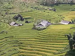 Montañas de Sa Pa en la Provincia de Lào Cai