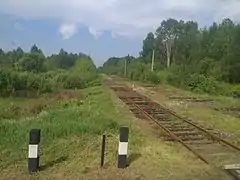 Vía de tren en la ruta Chernihiv-Ovruch.