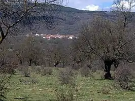 Panorámica de la localidad.