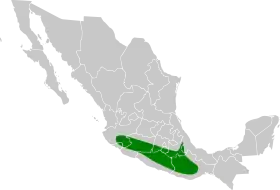 Distribución geográfica del vireo pizarroso.