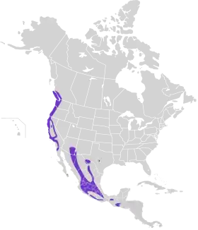 Distribución geográfica del vireo de Hutton.