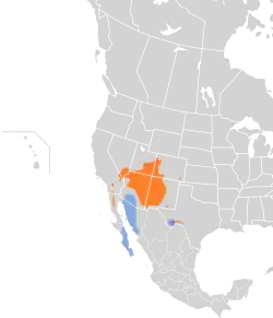 Distribución geográfica del vireo gris.