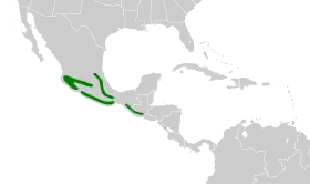 Distribución geográfica del vireón pechicastaño.