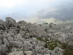 Interior del Macizo de Grazalema