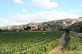 Panorámica de Belmonte de Gracián.