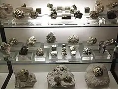 Sección Geología, Mineralogía (piritas)