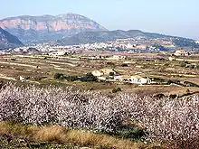 Vista de la localidad