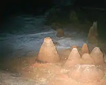 Conos de las cavernas en un lago ya retirado que los ha dejado al descubierto en una cueva de Brasil.