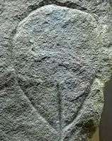 Vulva estilizada en piedra, Auriñaciense