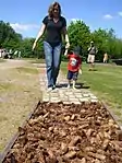 Un elemento de experiencial en el "Mundo de los Sentidos" (Welt der Sinne). El diseño de este extenso jardín sensorial y casa en Bremervörde, Alemania, se inspiró en las ideas de Hugo Kükelhaus (1900-1984) sobre "campos de experiencia para el desarrollo de los sentidos" y está destinado a ser utilizado por todos, independientemente de su discapacidad.