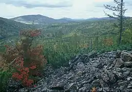 En el suroeste de las montañas Verkhoyansk