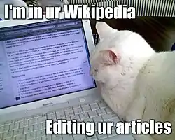 Imagen lolcat que utiliza el formato "Im in ur...". En el texto, se lee: "Estoy en tu Wikipedia, editando tus artículos."