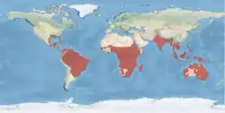 Distribución de las especies vivientes del género.