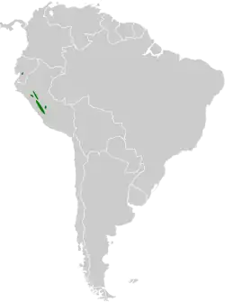 Distribución geográfica del dacnis andino norteño.