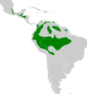 Distribución geográfica del trepatroncos picofuerte.