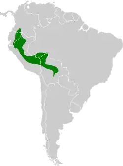 Distribución geográfica del trepatroncos de Tschudi.