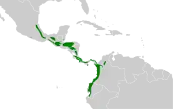 Distribución geográfica del trepatroncos manchado.