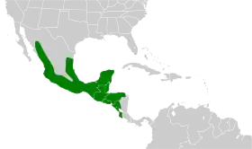Distribución geográfica del trepatroncos picomarfil.