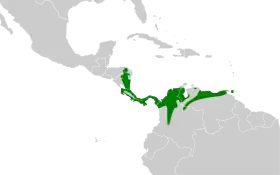 Distribución geográfica del trepatroncos cacao.