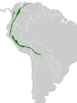 Distribución geográfica del trepatroncos dorsioliva.