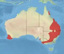 Mapa de distribución de Antechinus flavipes