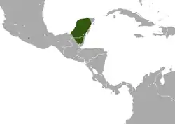 Distribución de C. mayensis