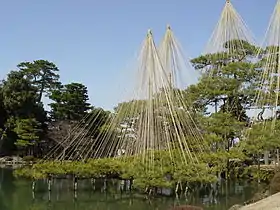 Estructuras que soportan los pinos y algunos árboles en el Jardín Kenroku.