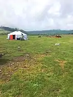Yurta nómada