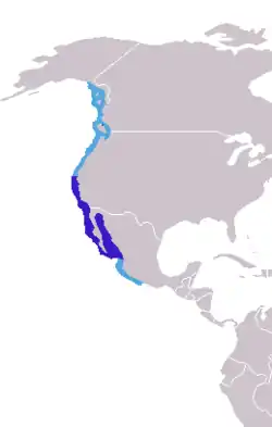 Distribución de las únicas especies vivientes de este género, el león marino de California (Zalophus californianus) en azul, y el león marino de las Galápagos (Zalophus wollebaeki) en rojo.