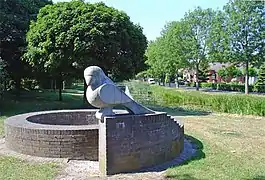 Gaviota en la zona de Zeeland , Drouwermond