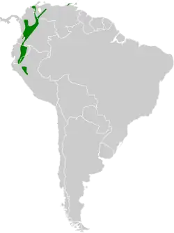 Distribución geográfica del mosquerito caridorado (incluyendo minimus/cumanensis).