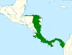 Distribución geográfica del mosquerito centroamericano.