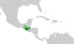 Distribución geográfica del mosquerito centroamericano.