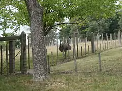 Zoológico Municipal Dr. Mauricio López Lomba