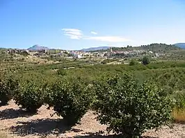 Vista general de Zucaina desde La Santanica.