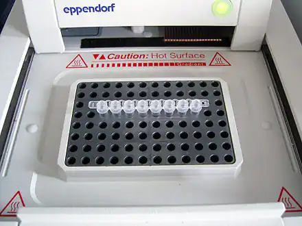 A PCR machine