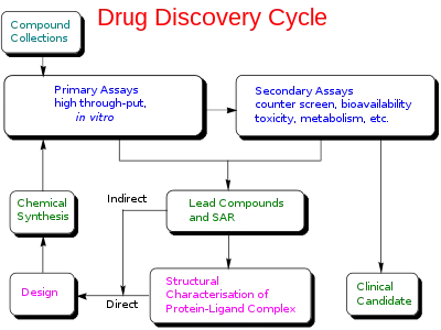 Drug discovery cycle schematic