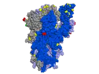 Spike protein with mutations highlighted, looking at the side of the protein