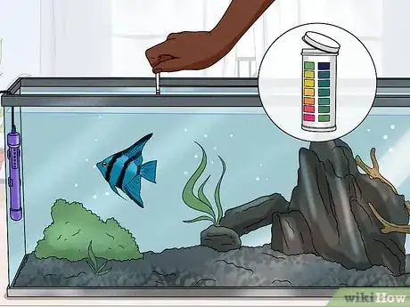 3 formas de limpiar el vidrio del acuario - wikiHow