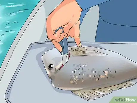 Cómo practicar la pesca (con imágenes) - wikiHow