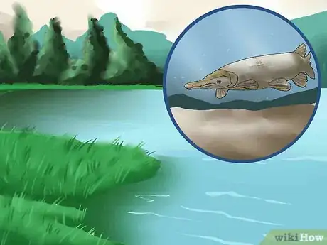 4 formas de aparejar un sedal de pesca - wikiHow