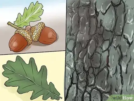 3 formas de desechar las hojas de otoño - wikiHow