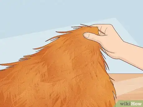 Cómo hacer un disfraz de abeja (con imágenes) - wikiHow