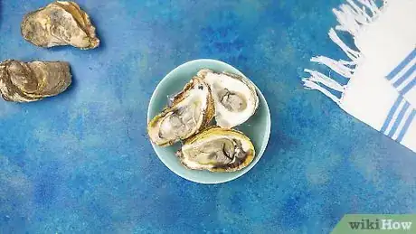 Comprar cuchillo abre-ostras presto seafood cocina Tienda