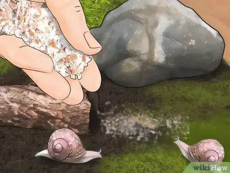 Image intitulée Care for Garden Snails Step 14