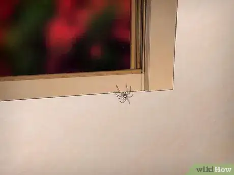 Image intitulée Kill Spiders when You Have Arachnophobia Step 7